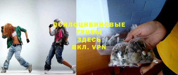 ECSTASY Покров
