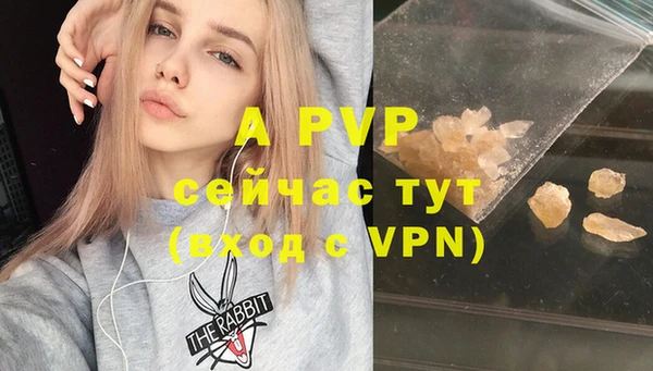 ECSTASY Покров