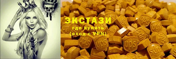 ECSTASY Покров